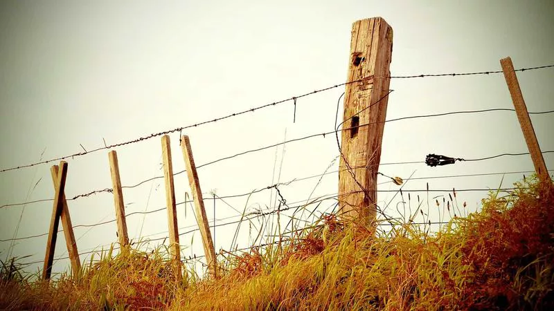 Liệu Bóng Đá Phong Trào Việt Nam Đã Sẵn Sàng Cho <strong>Dữ Liệu Thống Kê</strong>?
