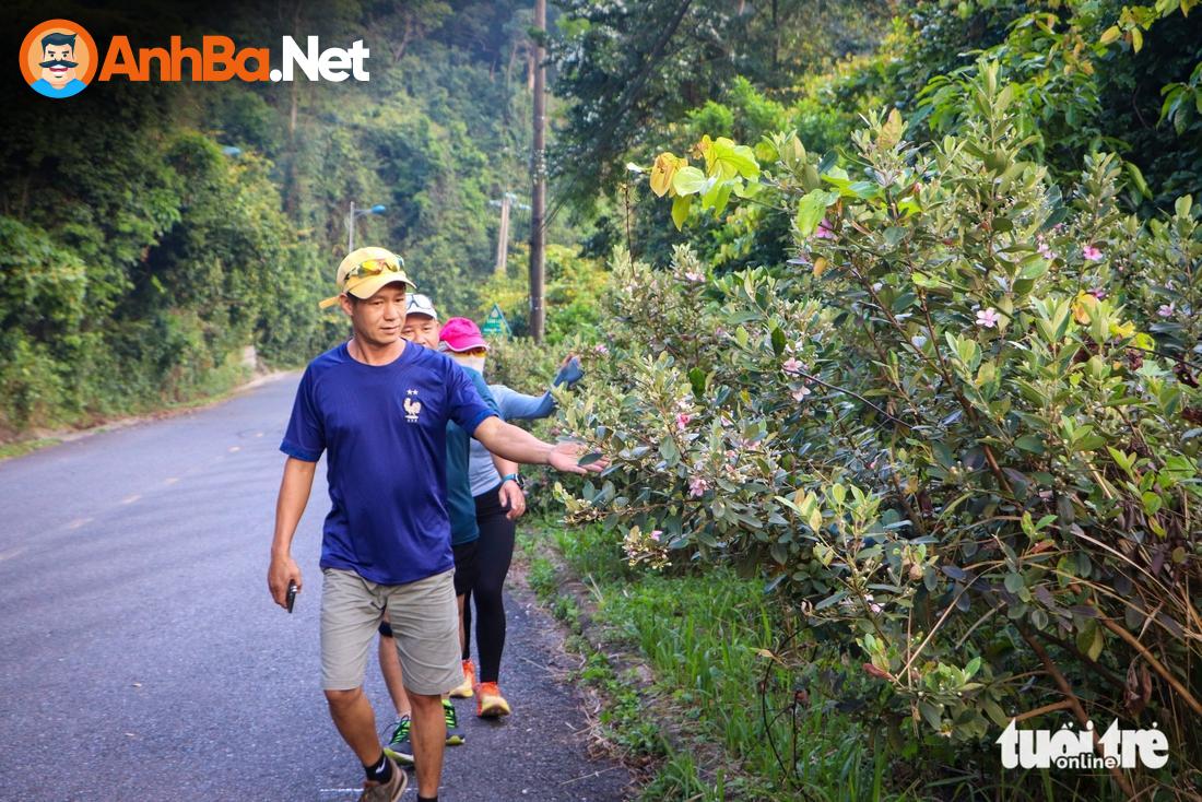 Tháng Tư Và Vẻ Đẹp Sơn Trà Bất Tận