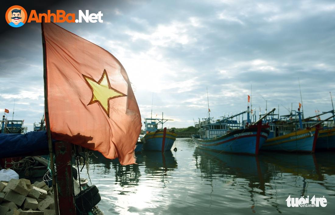 Trải Nghiệm Hoang Sơ Và Thú Vị Tại Cù Lao Câu