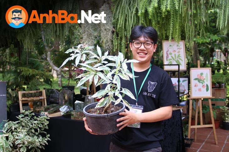 Kết luận